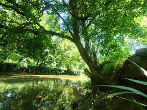 Rare ! Terrain d'exception en bord de rivière 3700 m²