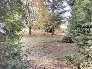 Vente Terrain à Savennières (49170) : à vendre / Savennières