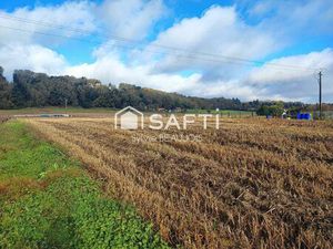 Terrain de presque 8000m2