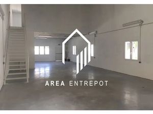 LOCAL ACTIVITES - ATELIER - ZI NAPOLLON