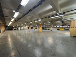 Local professionnel - 1800m ²