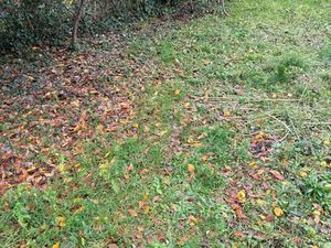 Jardin / potager / garage