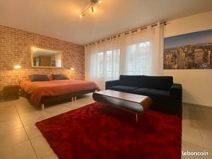 Grand Studio Suréquipé 34m2 - Nancy Centre