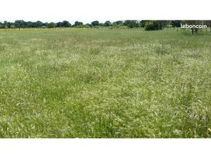 Terrain pour chevaux