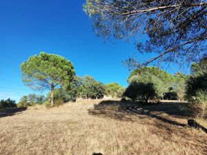 Location terrain 50000 m² à Bagnols-en-Forêt (83600)  80 €