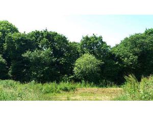 Vente Terrain à Saint-Briac-sur-Mer (35800) : à vendre / Saint-Briac-sur-Mer