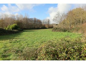 Terrain à vendre à Thonac (24290) - Dordogne