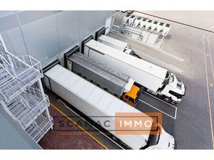 Local d'activités de 1259m²