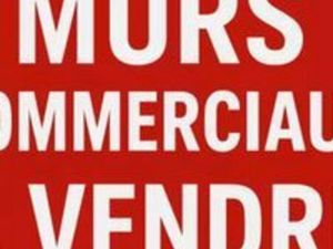 Murs commerciaux à vendre