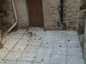 Loue centre Mirebeau 86110 maison