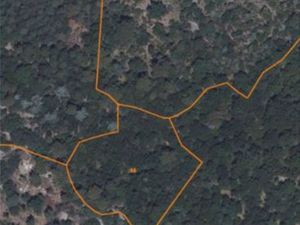 Foret plateau de FAVAS