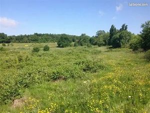 RECHERCHE TERRAIN a louer