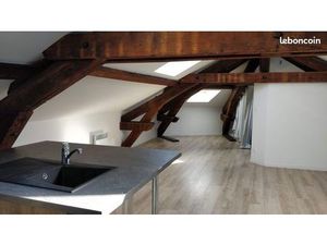 Magnifique appartement lumineux proche pépinière