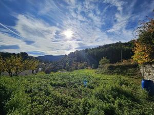 Cuébris à 2kms de Roquesteron