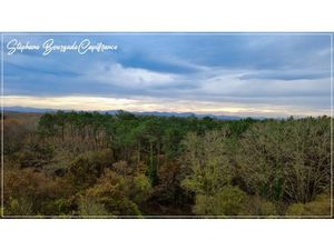 Propriete à vendre 0 pièces SAINT MARTIN DE HINX (40)