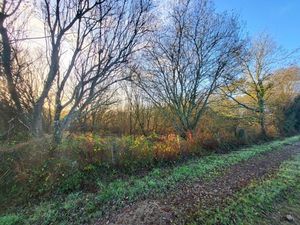 Terrain à vendre TELGRUC SUR MER (29)