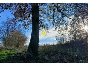 Vente maison 1 pièce Arpheuilles-Saint-Priest (03420)