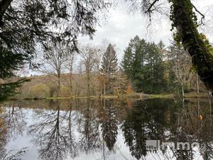 Achat Terrain 34 693m² THOURON 87140