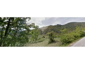 Achat Terrain 2 000m² CUEBRIS 06910