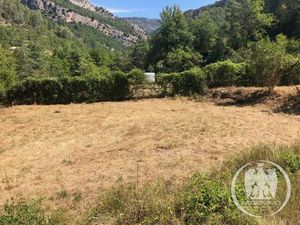 Achat Terrain 73 209m² CUEBRIS 06910
