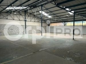 LOCAL D'ACTIVITE A LOUER