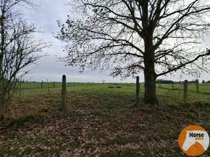 DENDERHOUTEM– Perceel weiland van 29a 50ca
