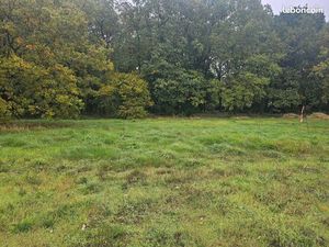 Terrain constructible