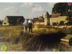 Vente maison 6 pièces 115 m² Sancoins (18600)