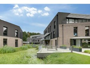 Location Local Professionnel 375m²