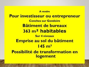 Achat Immeuble 363m² LAGNY SUR MARNE 77400