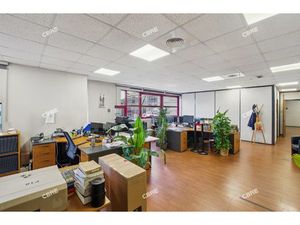 Achat Local Professionnel 1 146m²