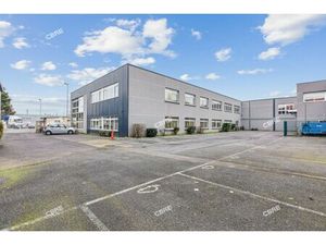 Achat Local Professionnel 1 167m²