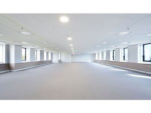 Location Local Professionnel 2 874m²