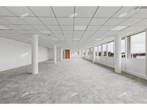 Location Local Professionnel 810m²