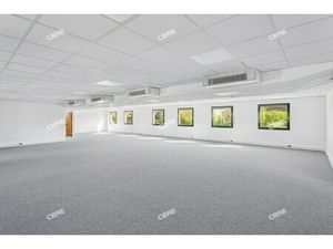 Location Local Professionnel 633m²