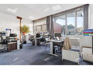 Location Local Professionnel 480m²