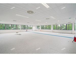 Location Local Professionnel 575m²