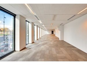 Location Local Professionnel 4 733m²
