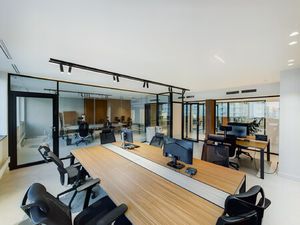 Location Local Professionnel 233m²