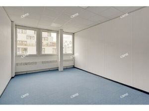 Location Local Professionnel 335m²