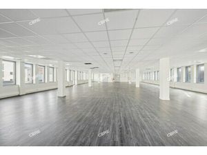 Location Local Professionnel 388m²