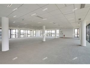 Location Local Professionnel 655m²