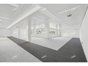 Location Local Professionnel 727m²