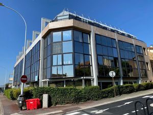 Location Local Professionnel 1 161m²