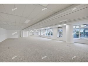 Location Local Professionnel 1 123m²