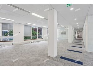 Location Local Professionnel 562m²