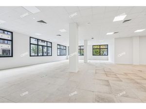 Location Local Professionnel 378m²