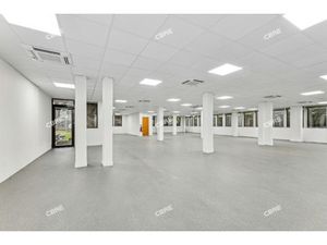 Location Local Professionnel 397m²