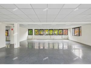 Location Local Professionnel 218m²