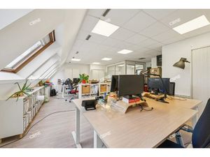 Location Local Professionnel 156m²